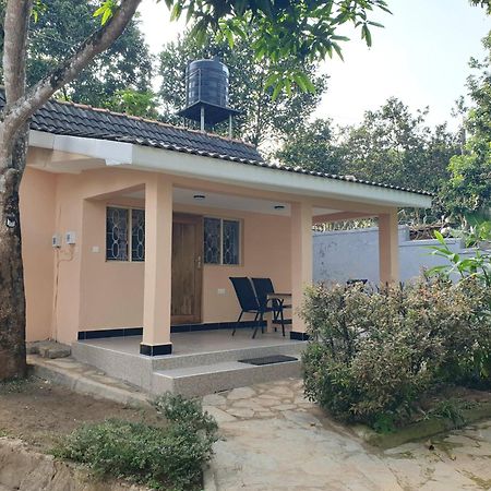 Alison & Dave'S Guesthouse Entebbe Ngoại thất bức ảnh